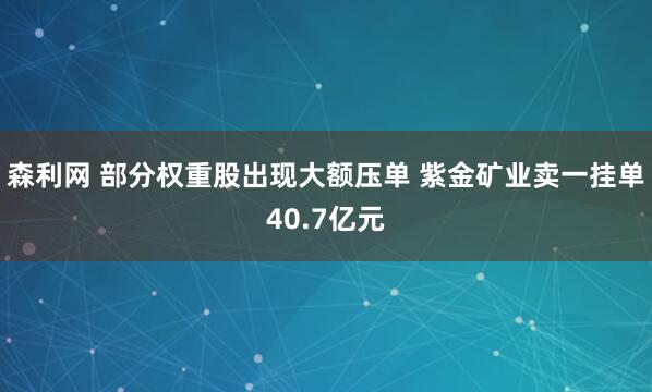 森利网 部分权重股出现大额压单 紫金矿业卖一挂单40.7亿元
